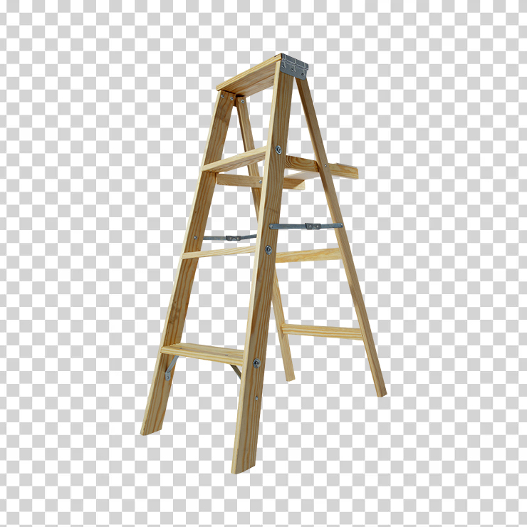 Ladder 6