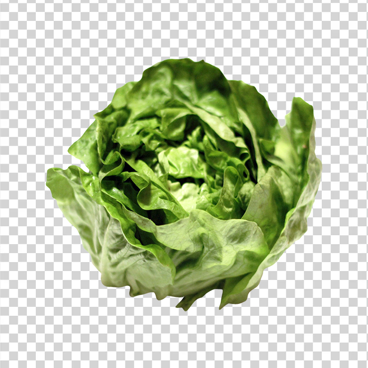 Lettuce 161
