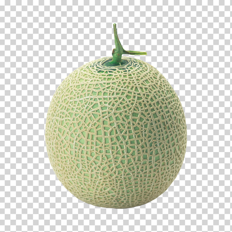 Melon 16