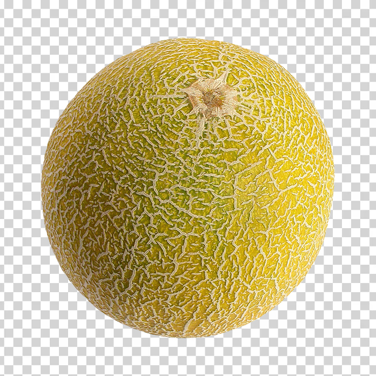 Melon 17