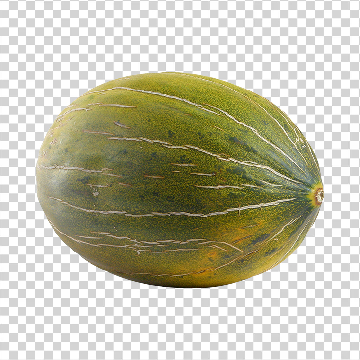 Melon 18