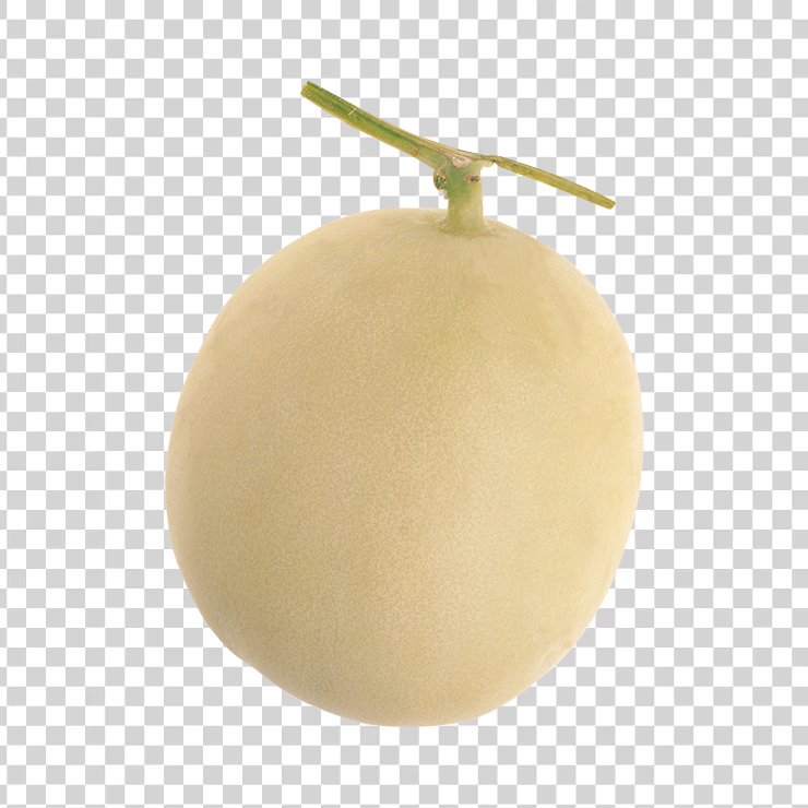 Melon 19