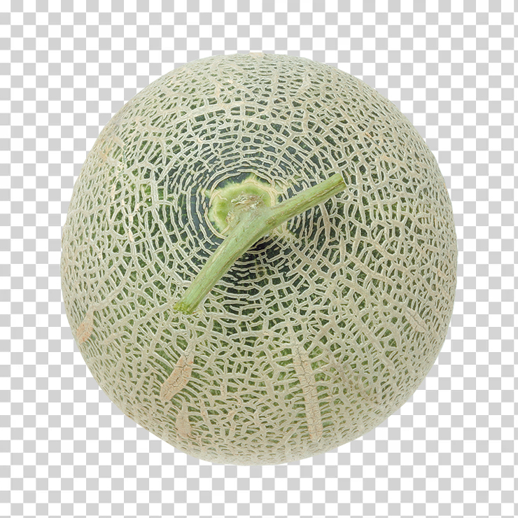 Melon 3