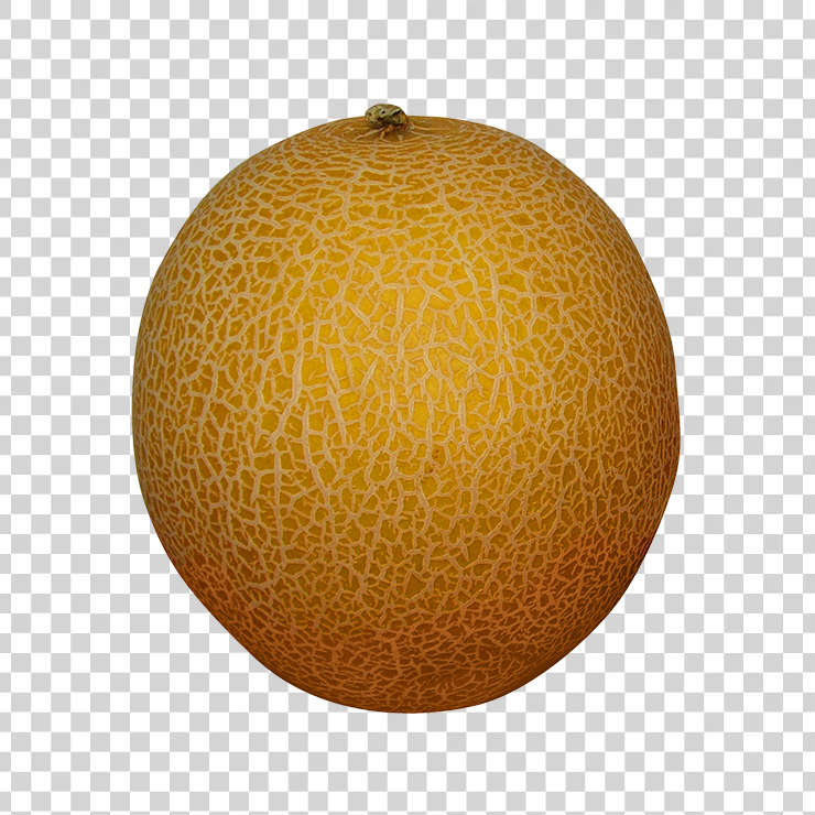 Melon 32
