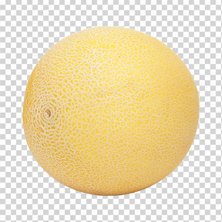 Melon 36