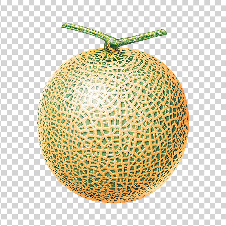 Melon 4