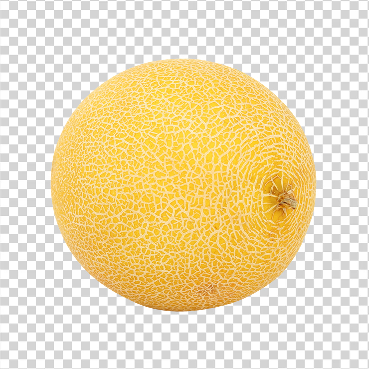 Melon 111