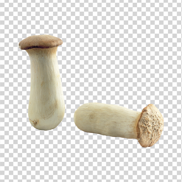 Mushroom 26