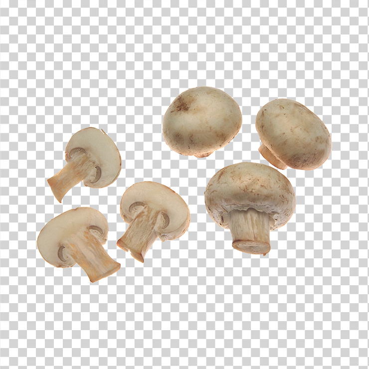 Mushroom 31