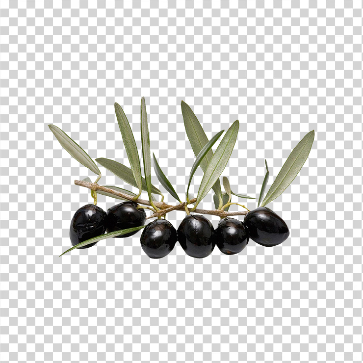 Olive With Leaf