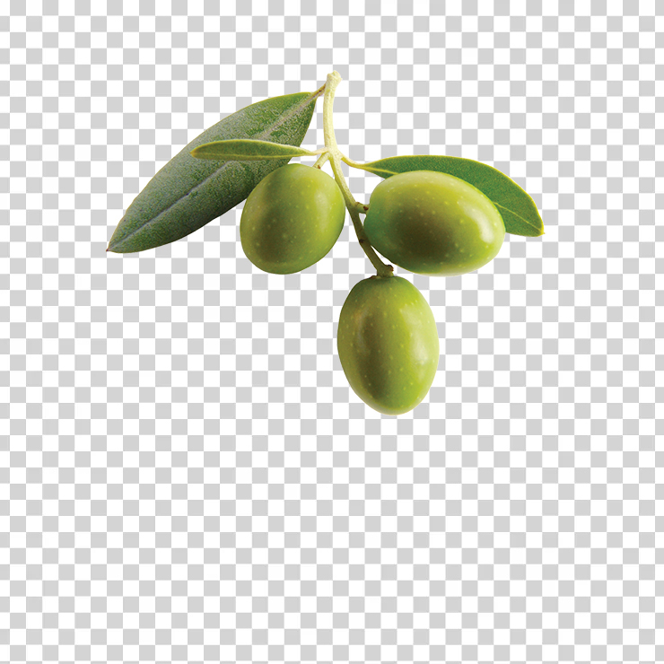 Olives 27