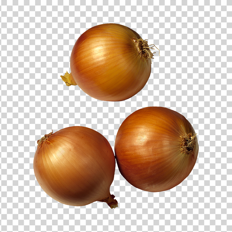 Onion 11