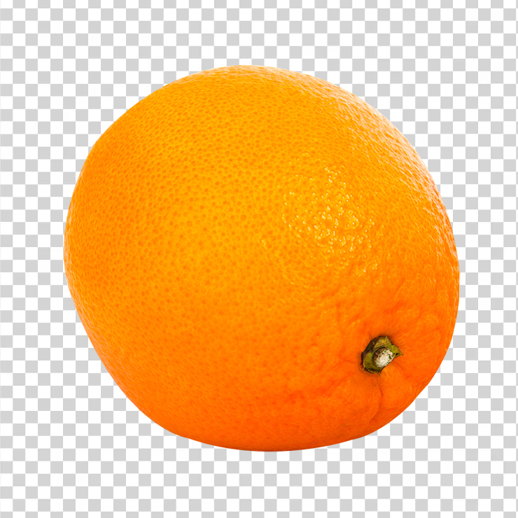 Orange Fruit 145