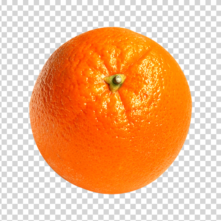 Orange Fruit 1
