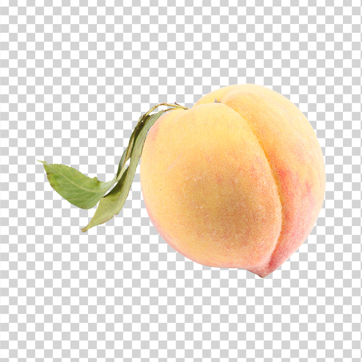 Peach 34