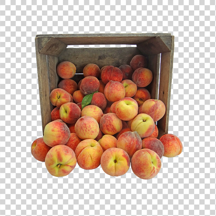 Peach 1631