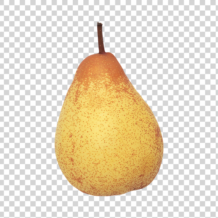 Pear 31