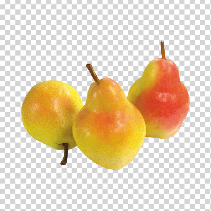 Pear 4
