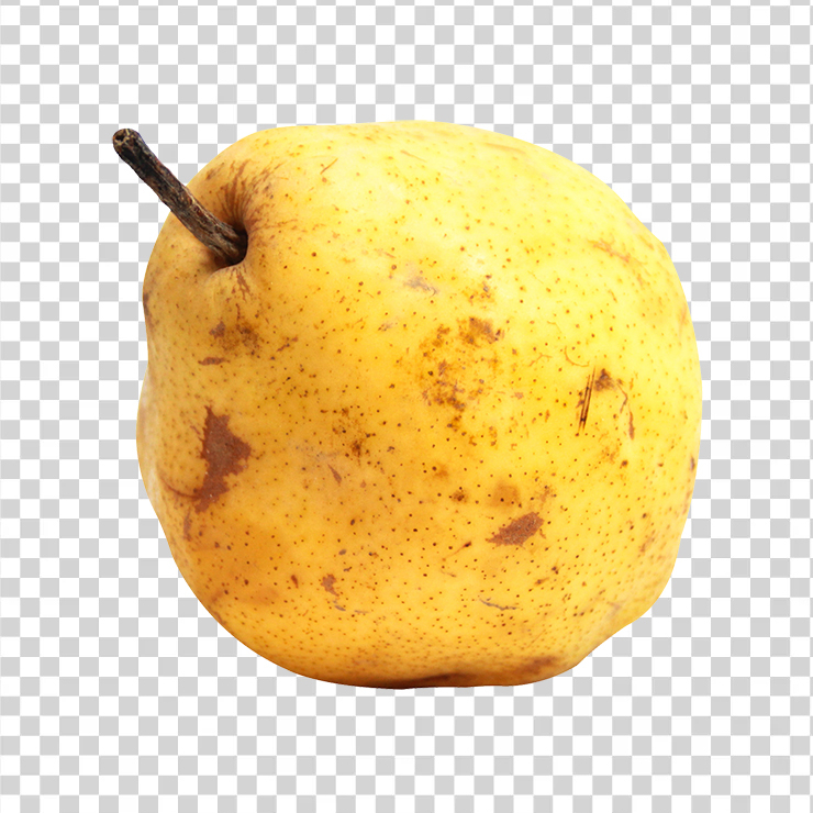 Pear Fruit 45