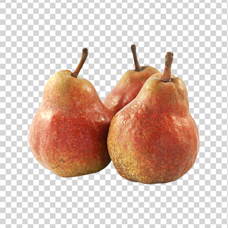Pear Fruit 2
