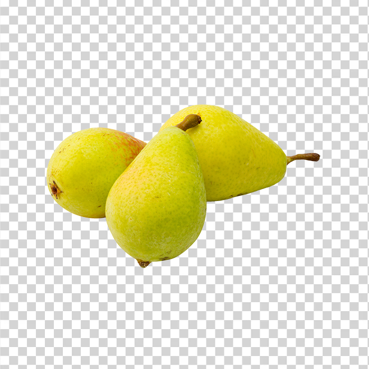 Pear Fruit 441