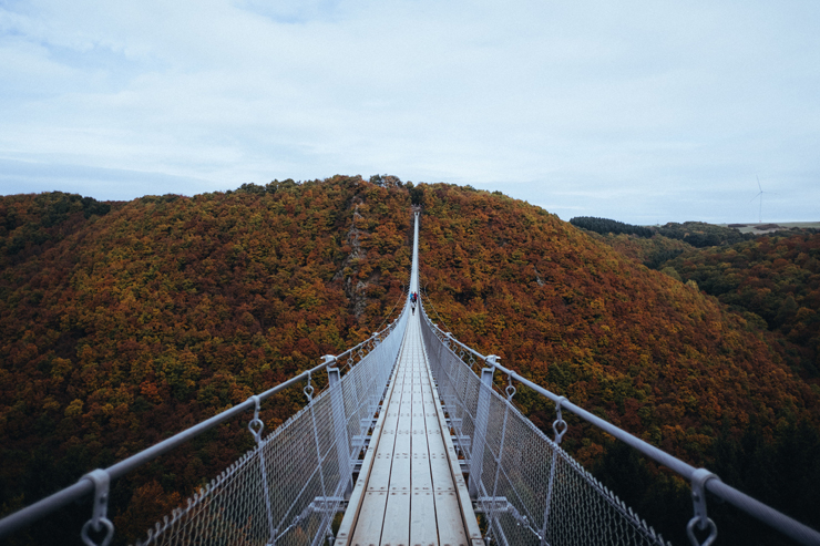 
									People Crossing the Bridge in Nature