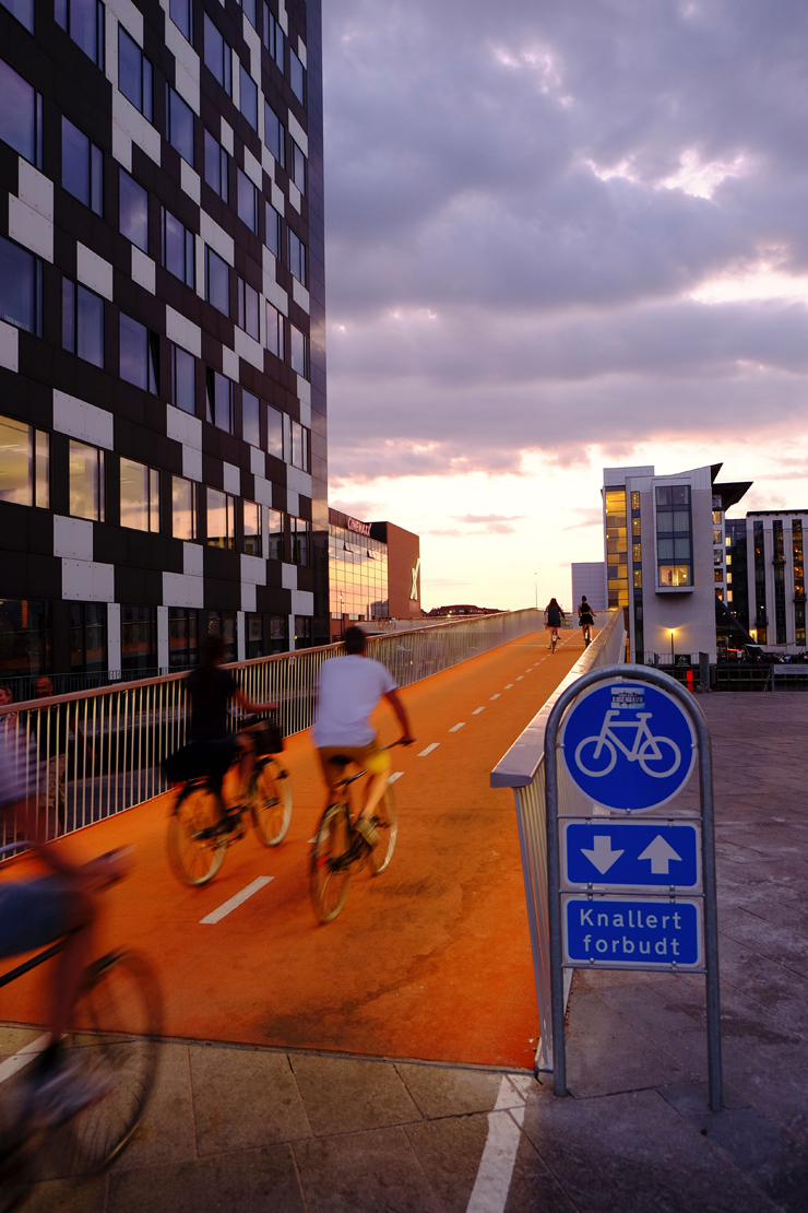 
									People Cycling on the Bicycle Lane