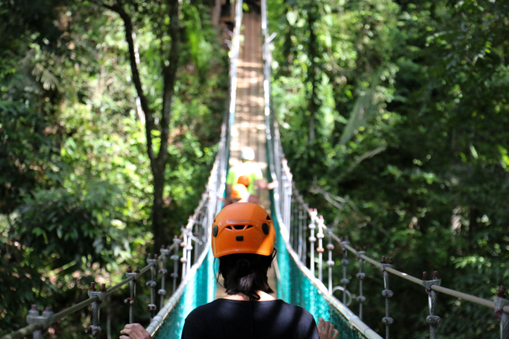 People Doing a Jungle Trekking