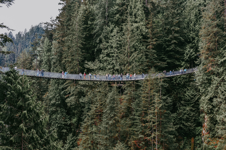 
									People Walking in Hang Bridge in the jungle