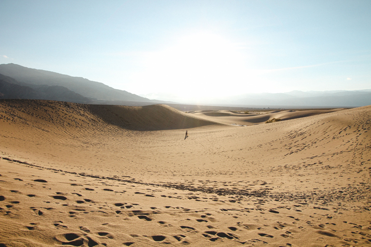 
									People Walking in Middle of Desert