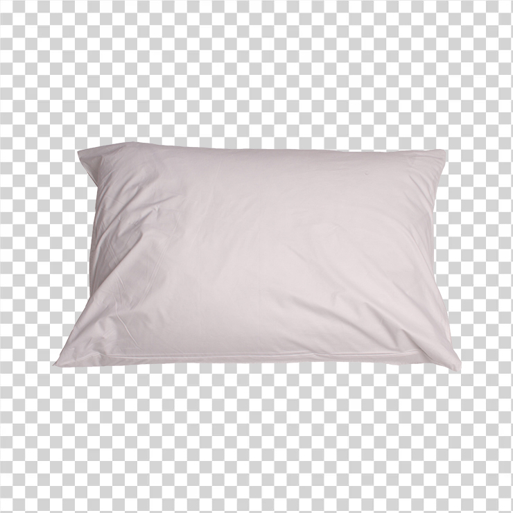 Pillow 41
