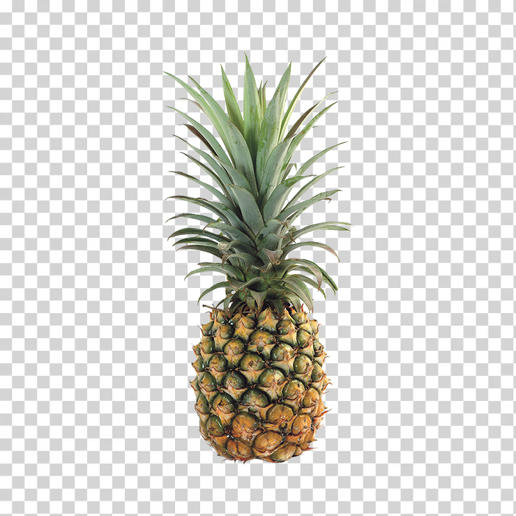 Pineapple 13