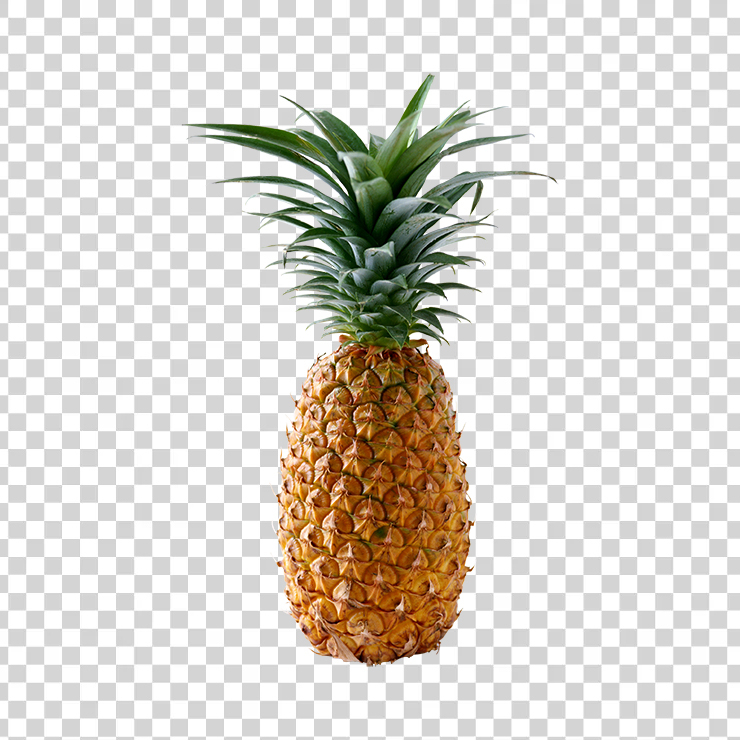 Pineapple 16