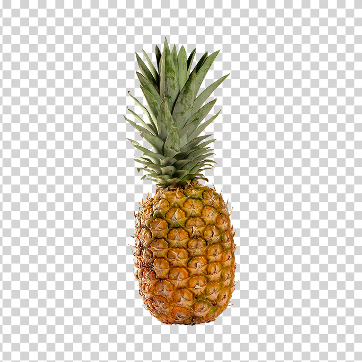 Pineapple 20