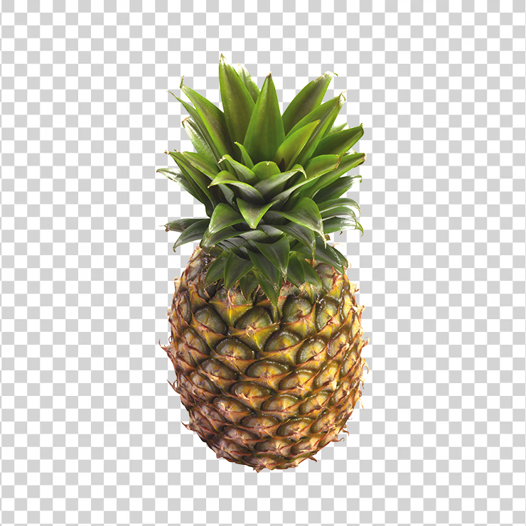 Pineapple 24