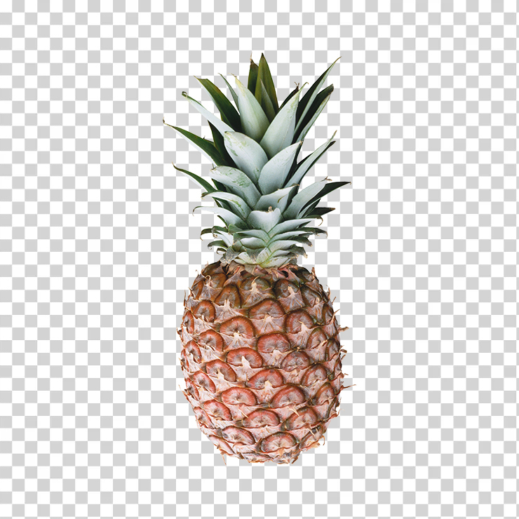 Pineapple 29