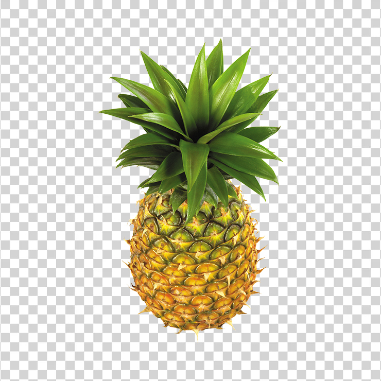 Pineapple 8