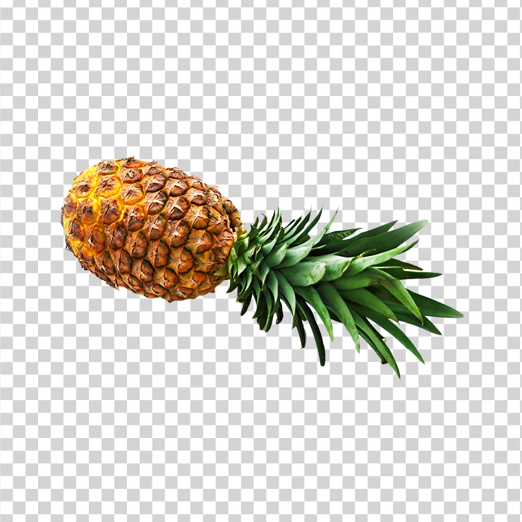 Pineapple 981