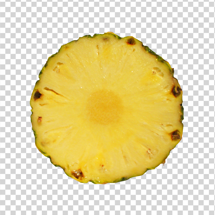Pineapple Slice 115