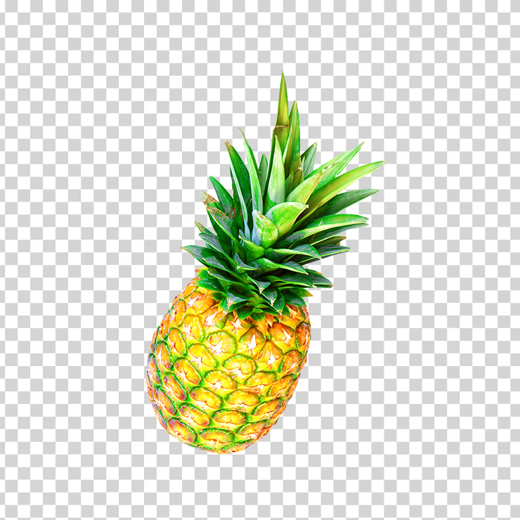 Pineapple 1