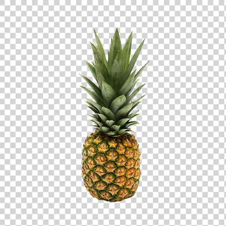 Pineapple 1171