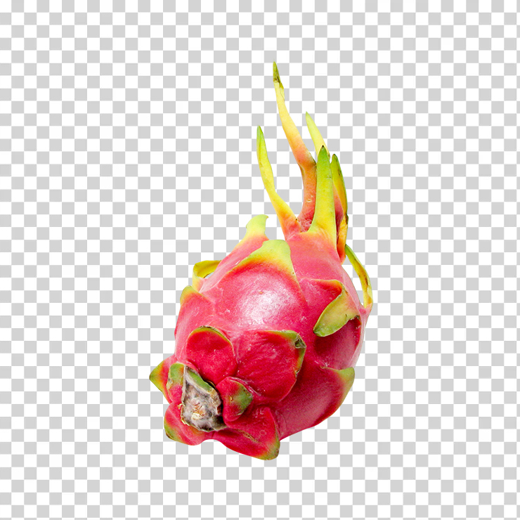 Pitaya Or Dragon Fruit