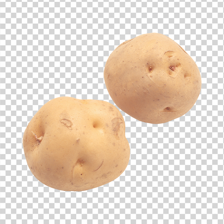 Potato 14