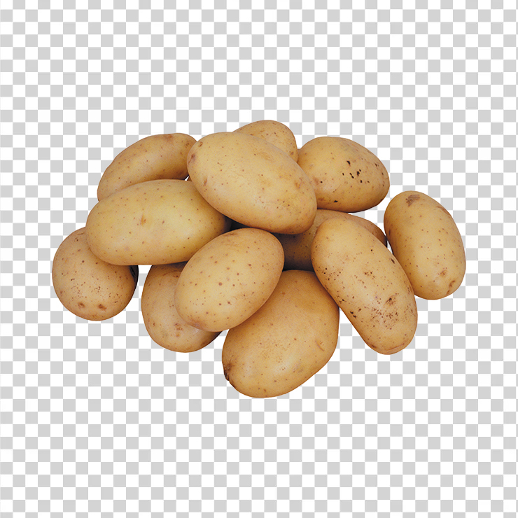 Potato 15