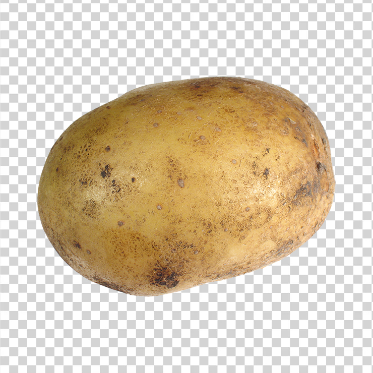Potato 18
