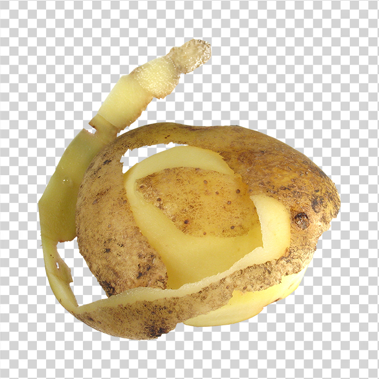 Potato 19