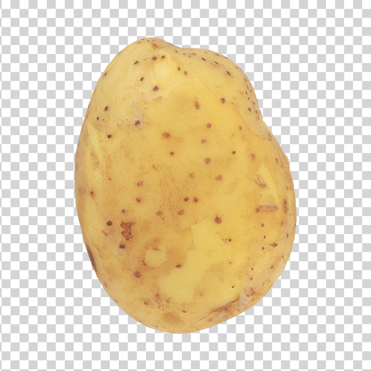 Potato 20