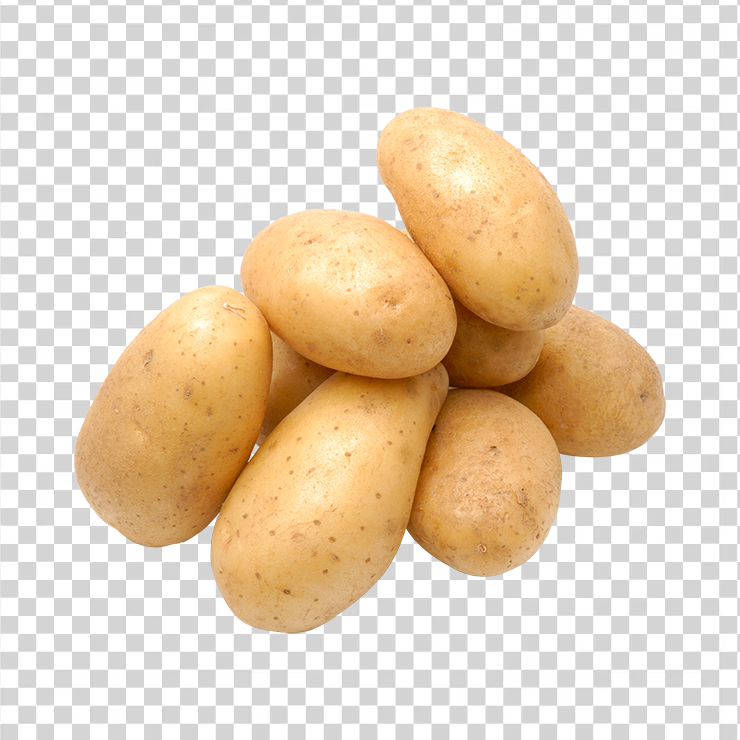 Potato 21