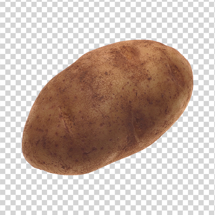 Potato 22