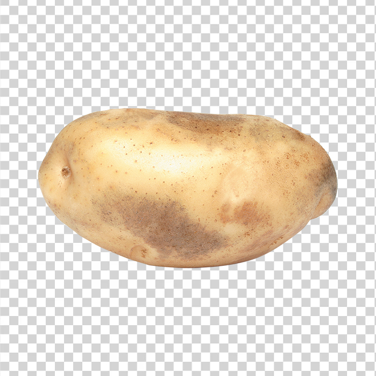 Potato 23